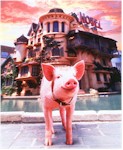 Babe - Pig in the City